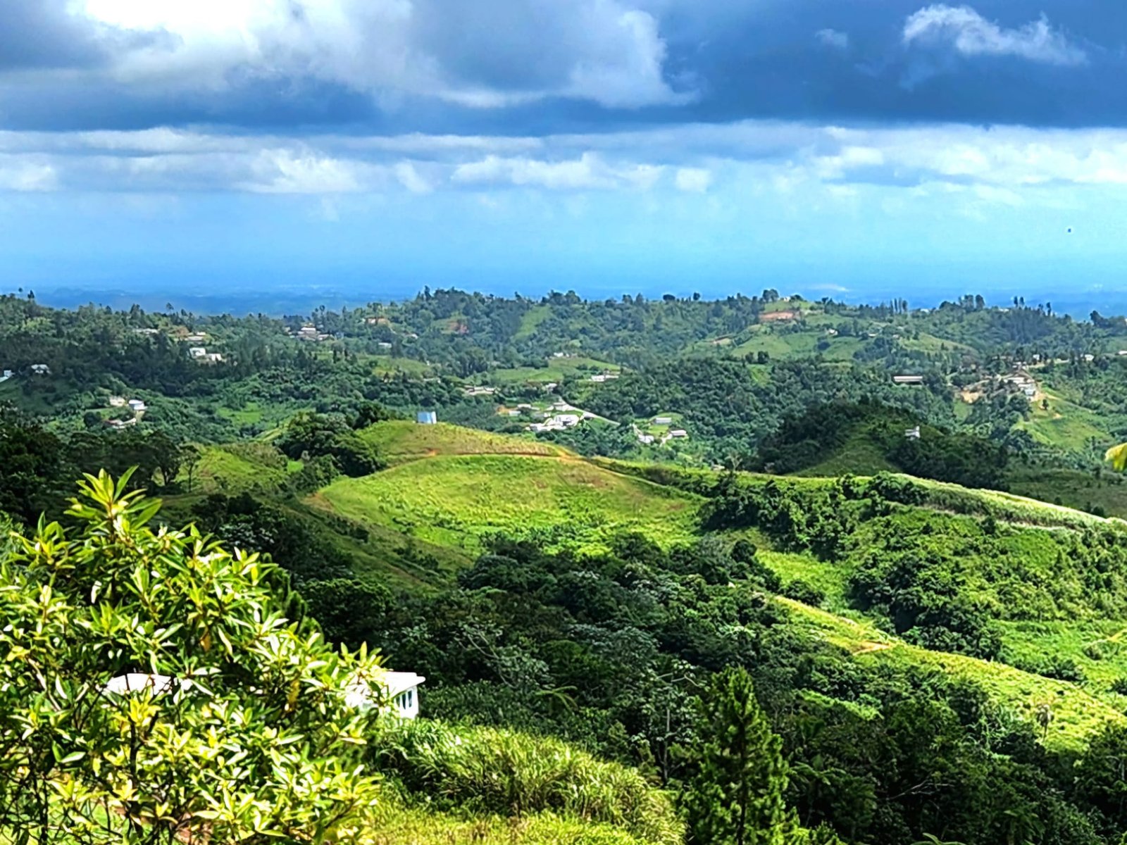 Barranquitas Land - 2025-2