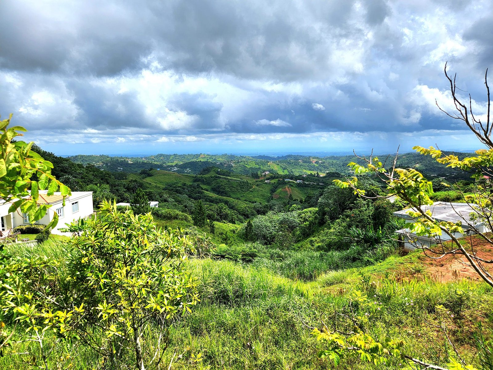 Barranquitas Land - 2025-3