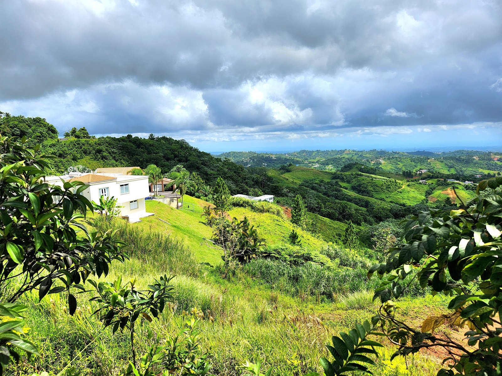 Barranquitas Land - 2025-4