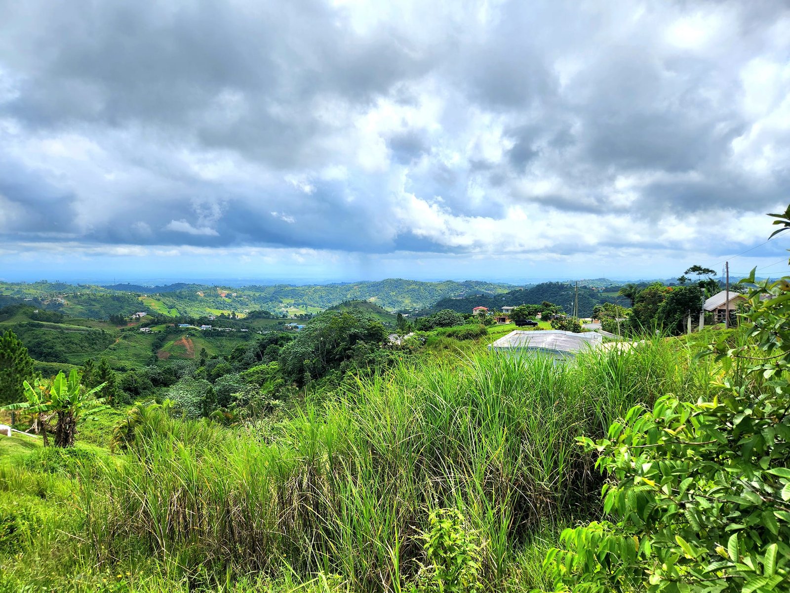 Barranquitas Land - 2025-6