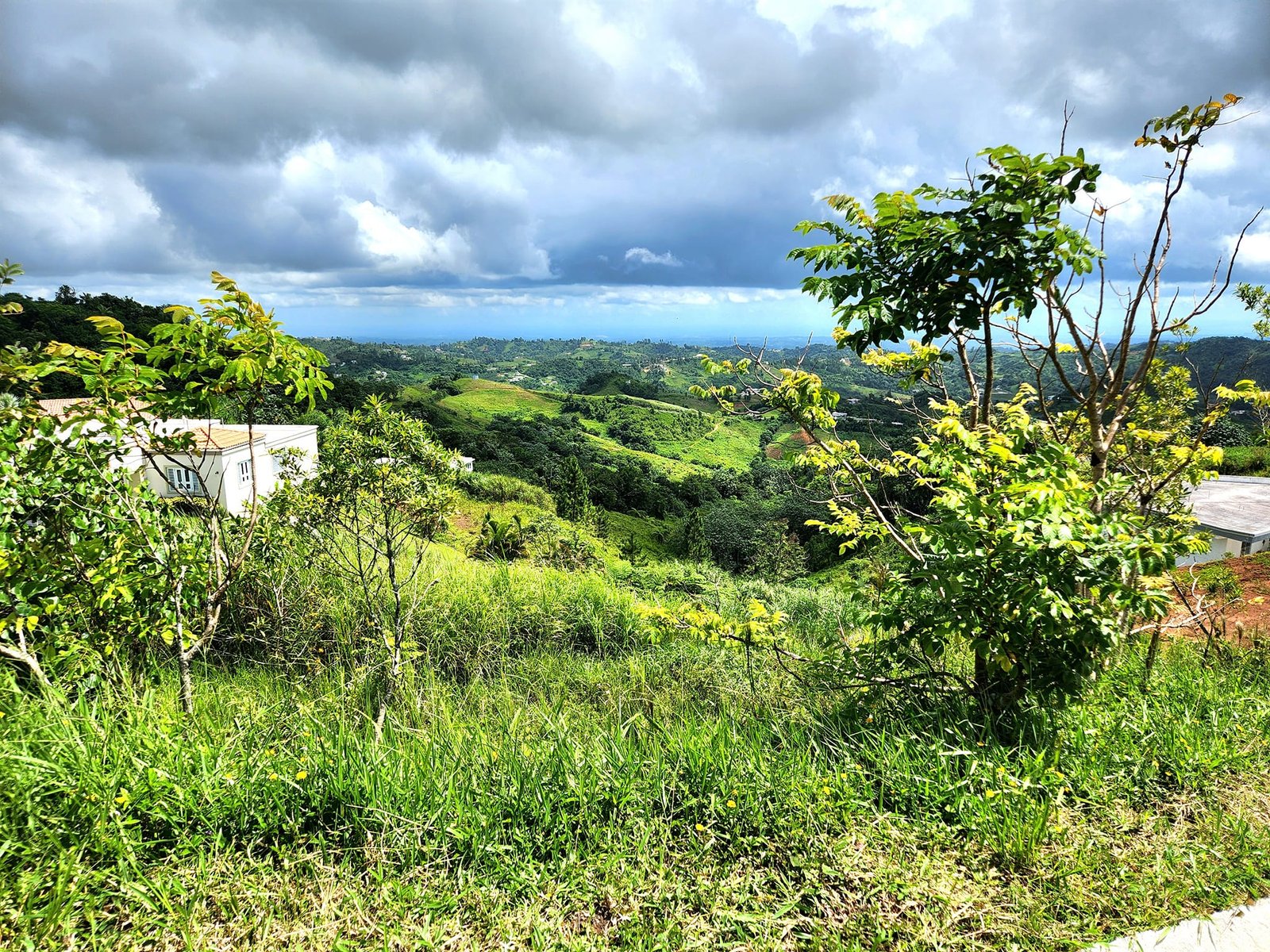 Barranquitas Land - 2025-7