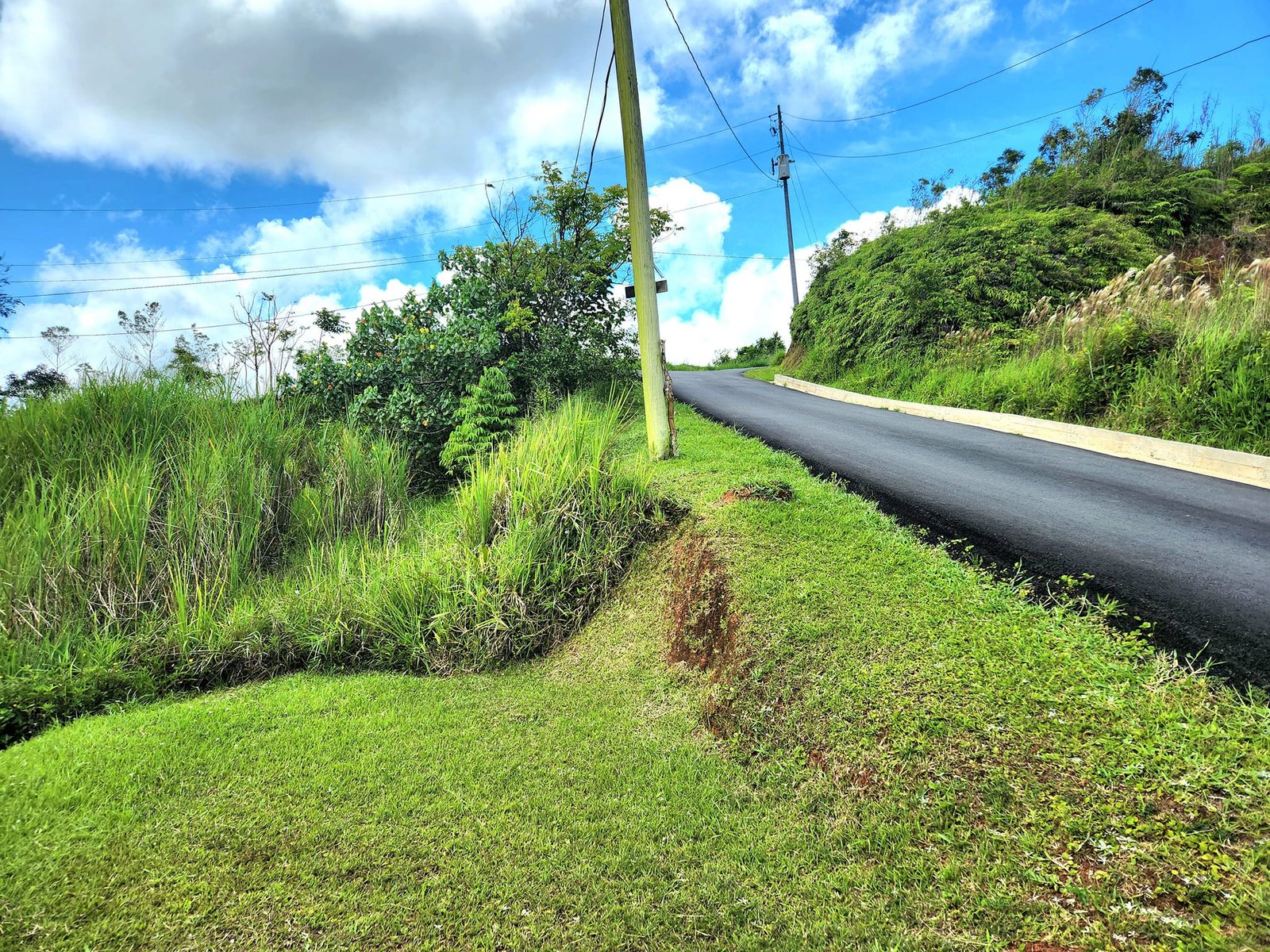 Barranquitas Land - 2025-8